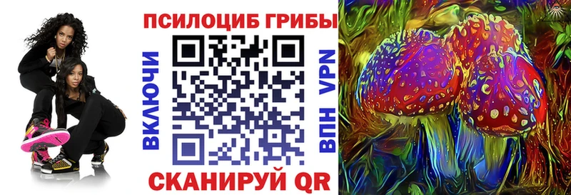 Купить закладки  Сегежа  Псилоцибиновые грибы мицелий 